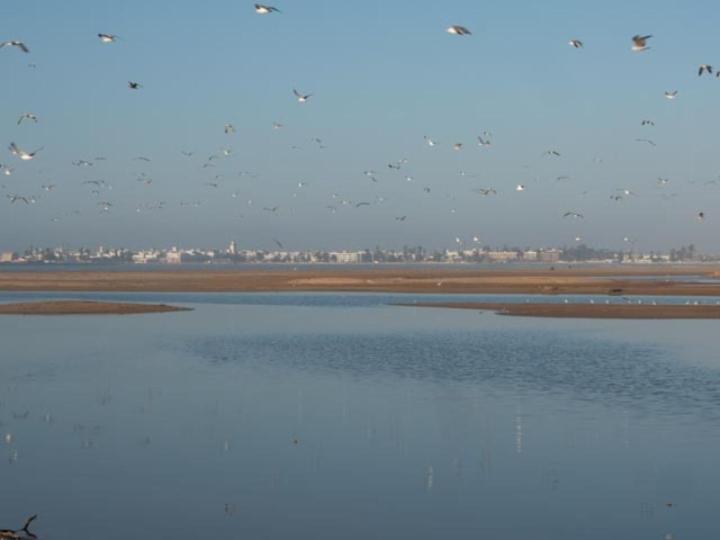 Tigmi Anis Bed & Breakfast Essaouira